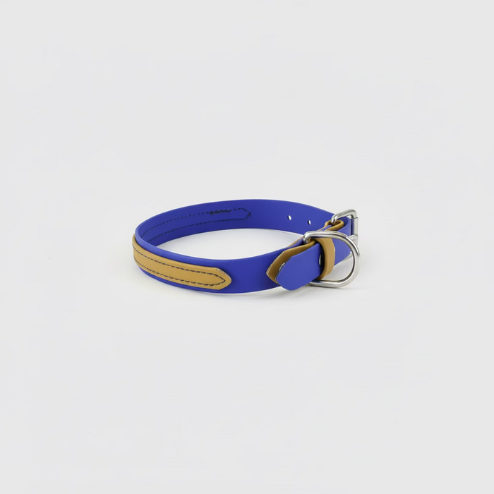 Gold on royal blue Stainless hardware