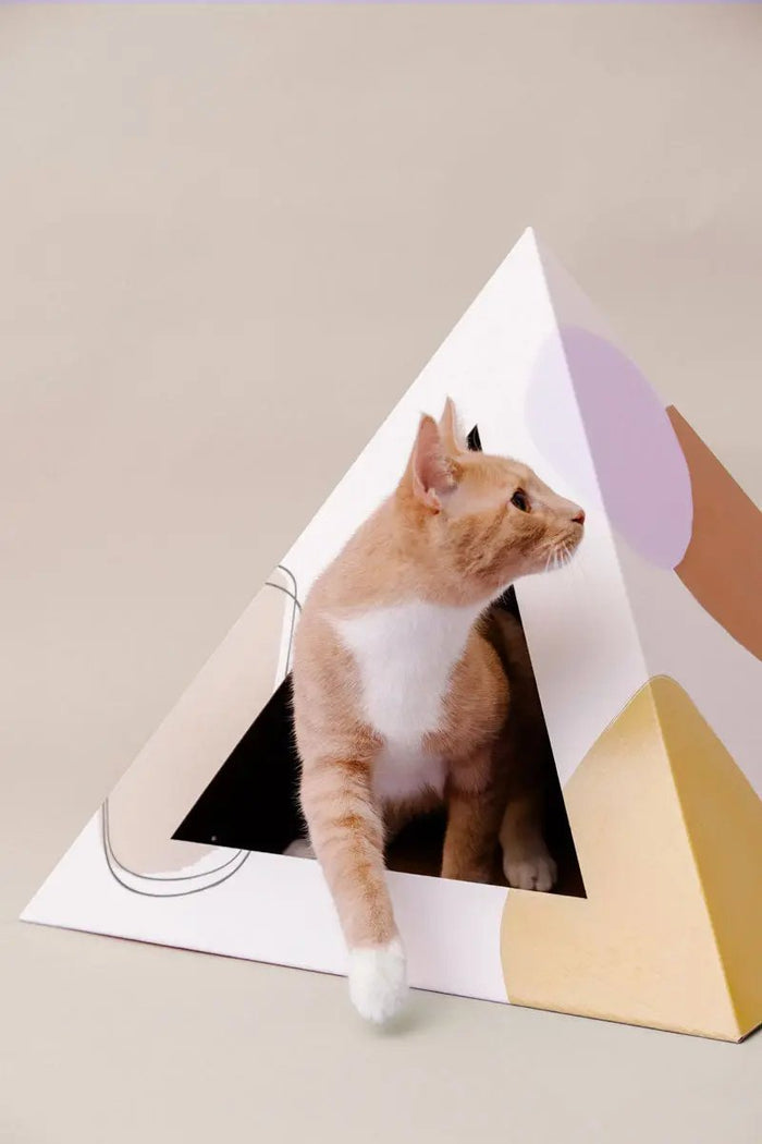 Abstract Cardboard Cat Pyramid - FloofChonk