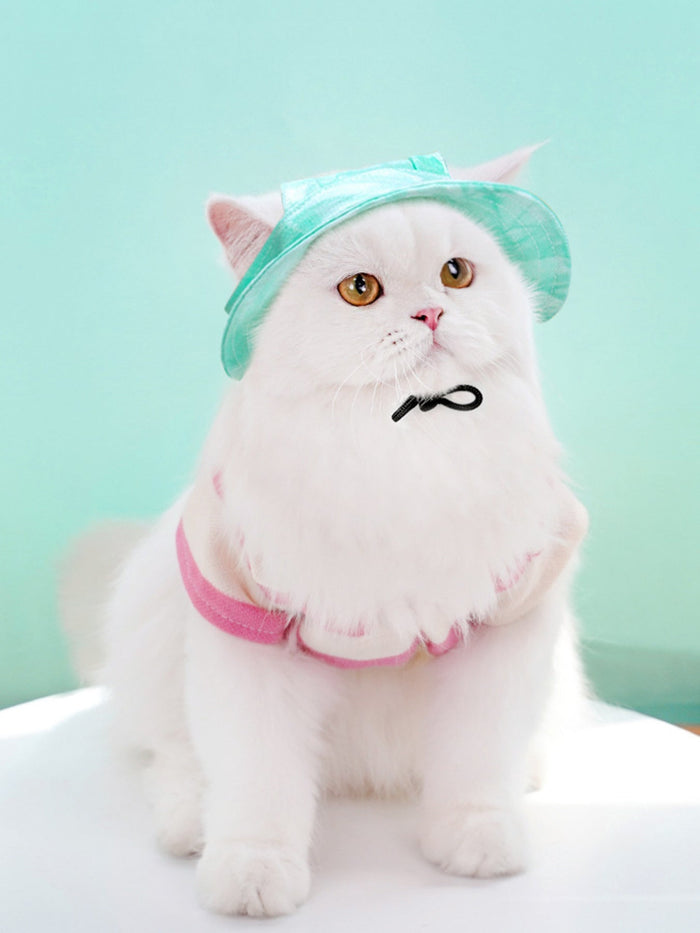 Adjustable Pet Visor Hat - FloofChonk