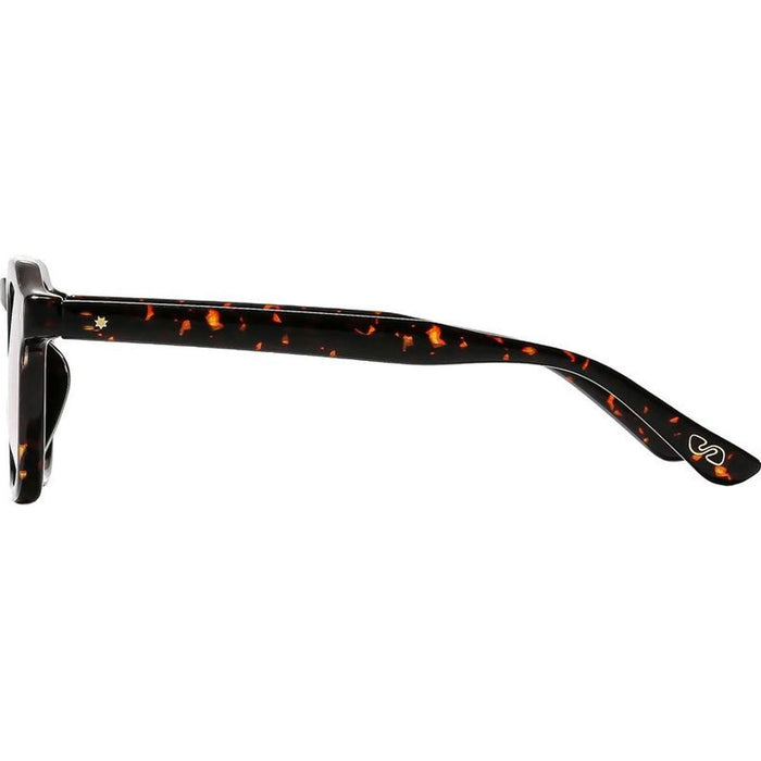 Archer, Wasp/Cinnamon Gradient Lenses
