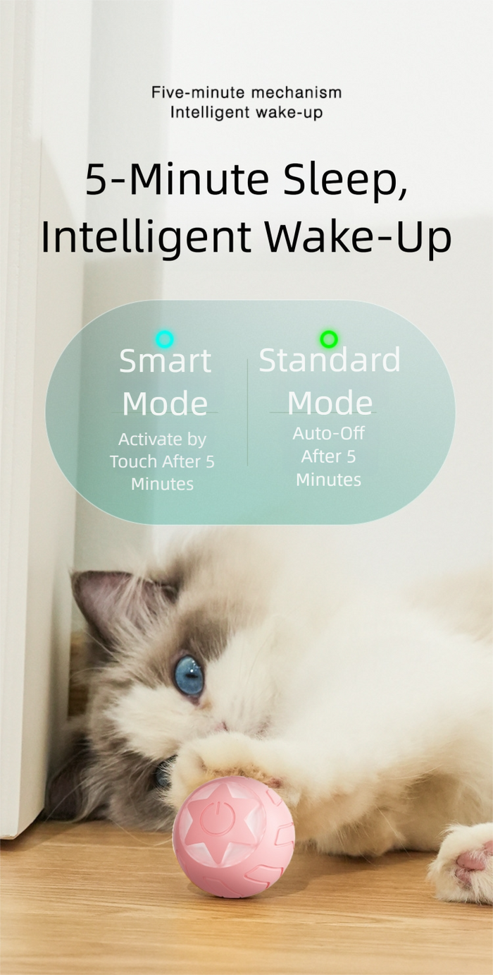 Balle de poursuite automatique pour chats d'intérieur