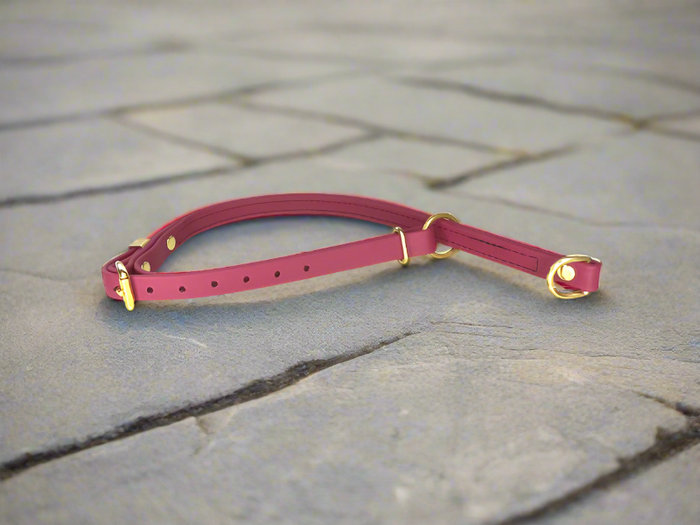 Biothane Waterproof Slip Collar for Dogs