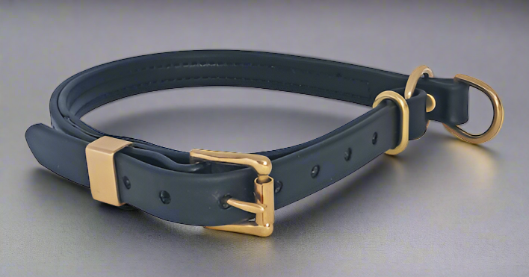 Biothane Waterproof Slip Collar for Dogs