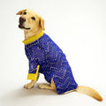 Blue Mirror Kurta