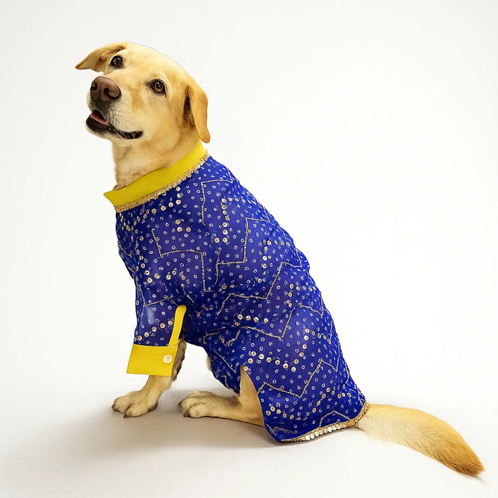 Blue Mirror Kurta