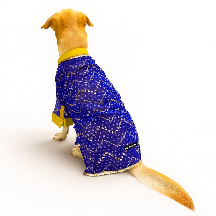 Blue Mirror Kurta