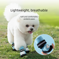 Bottes imperméables pour chiens de petite et moyenne taille, idéales pour la pluie, taille 5
