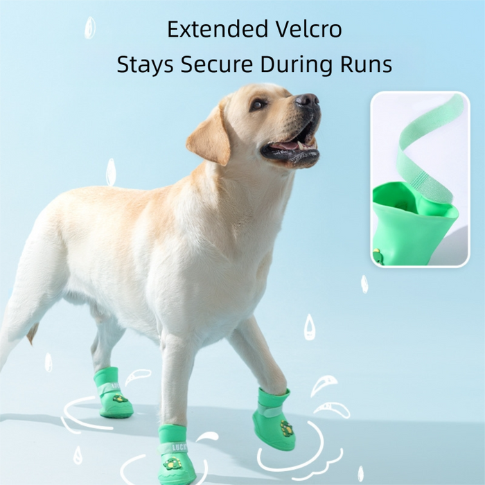 Bottes imperméables pour chiens de taille moyenne à grande, idéales pour la pluie