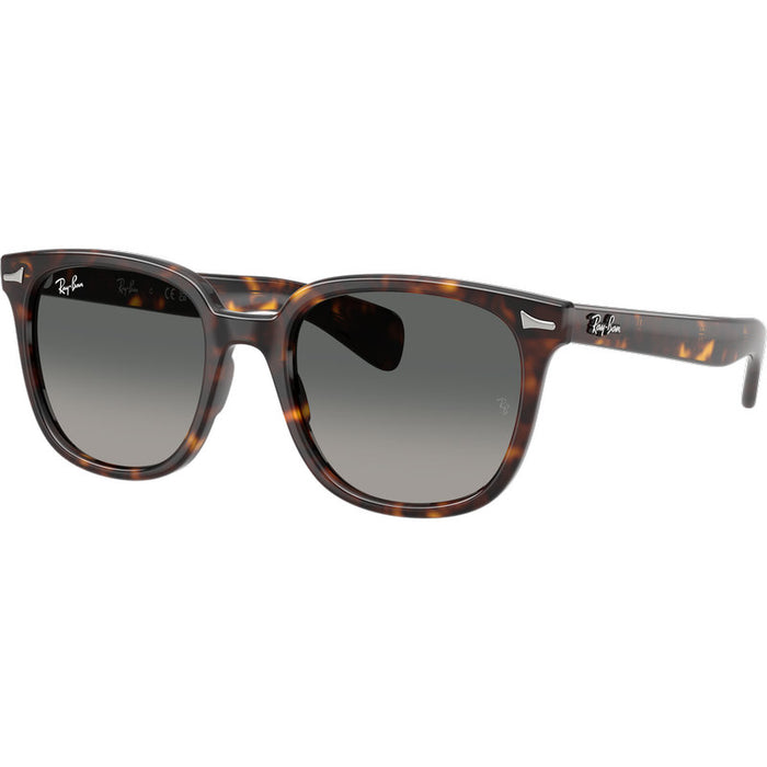 Ray-Ban Brunel II RB2235 Tortoise Grey Gradient Glass Angle