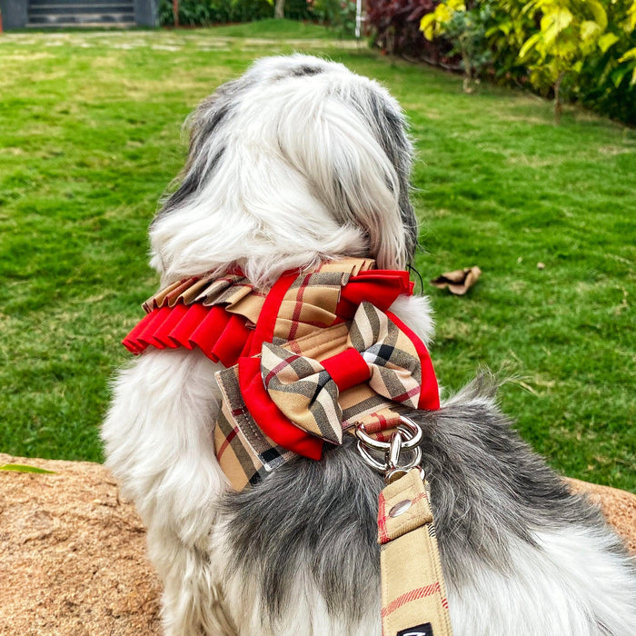 Burberry Check Frill Harness