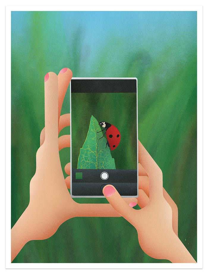 Casey Grays limited edition Lucky Lady print features an illustration of hands holding a smartphone, capturing a red and black-spotted ladybug on a green leaf, with blurred lush foliage in the background and the phones camera interface enhancing the digital charm.