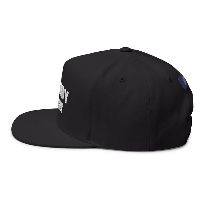 Cat Lady Energy Flat Bill Cap – Embroidered Snapback Hat - FloofChonk