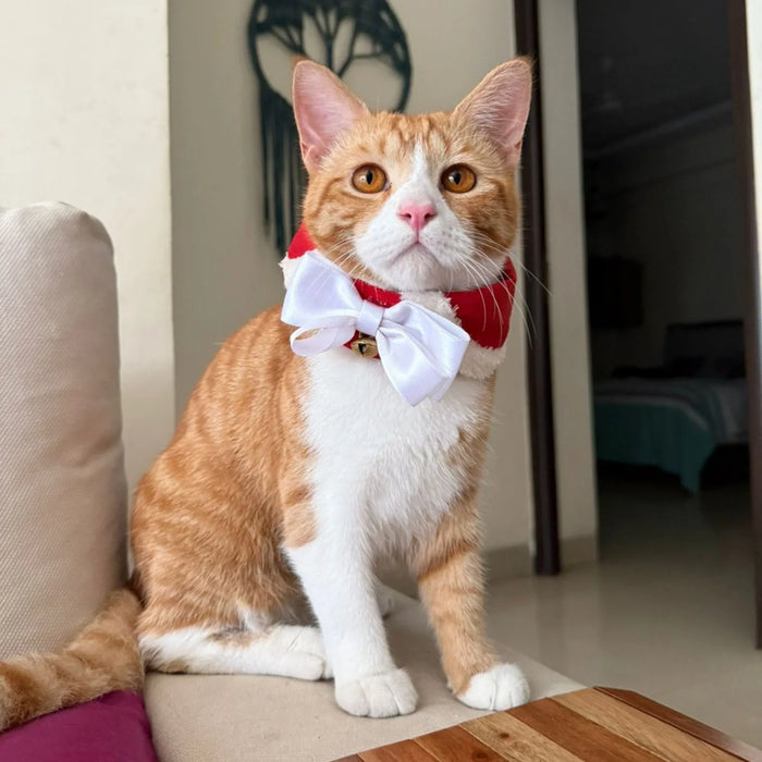 Christmas Neck-Tie