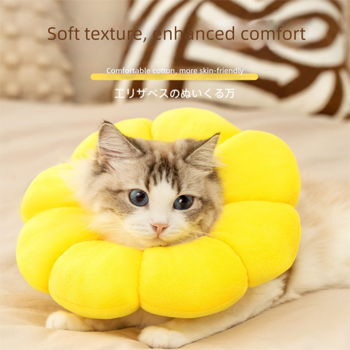 Collier conique pour chat, collier élisabéthain de sécurité pour chats, motif tournesol