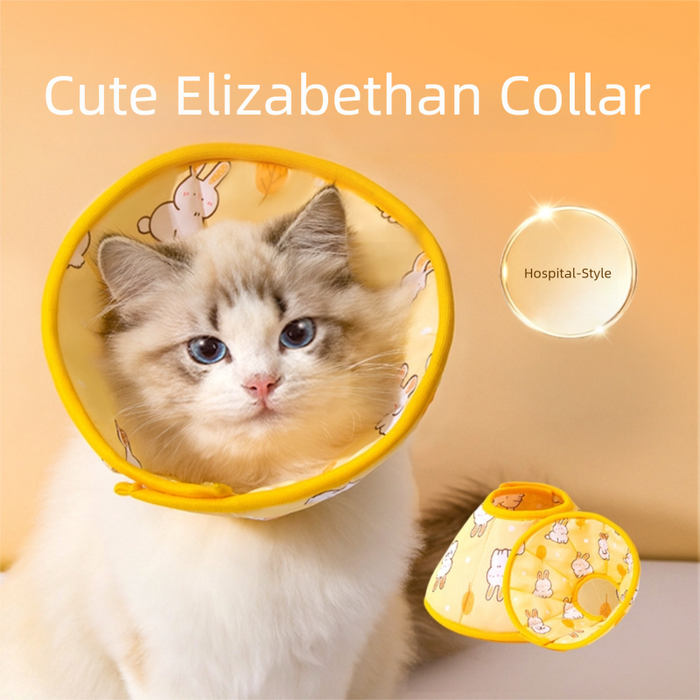 Collier conique pour chat, collier élisabéthain de sécurité pour chats