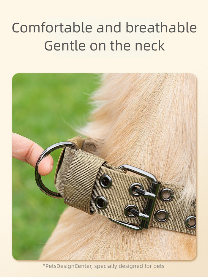 Collier militaire pour chien, anneau en D et boucle métalliques réglables, pour chiens moyens et grands