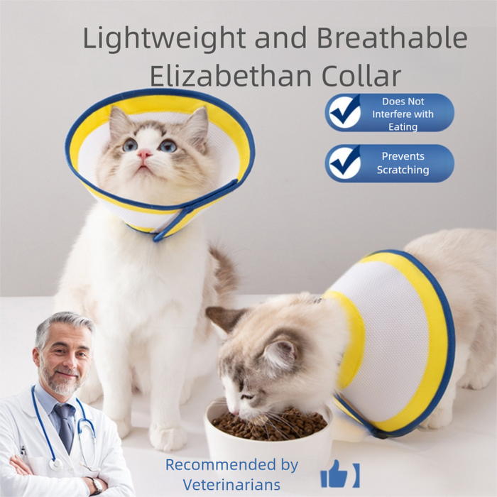Colliers et cônes de récupération pour animaux de compagnie en plastique à mailles, collier électronique Elizabeth réglable