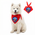 Delhi Claws Pet Bandana