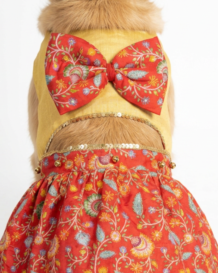 Desi Darling Dress