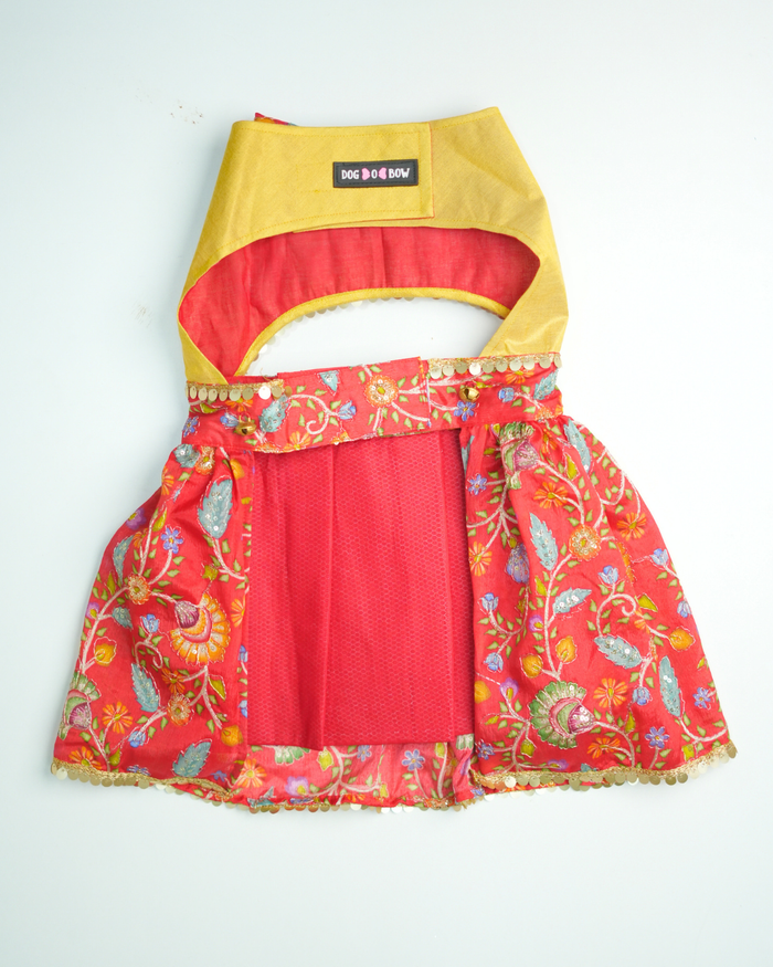 Desi Darling Dress