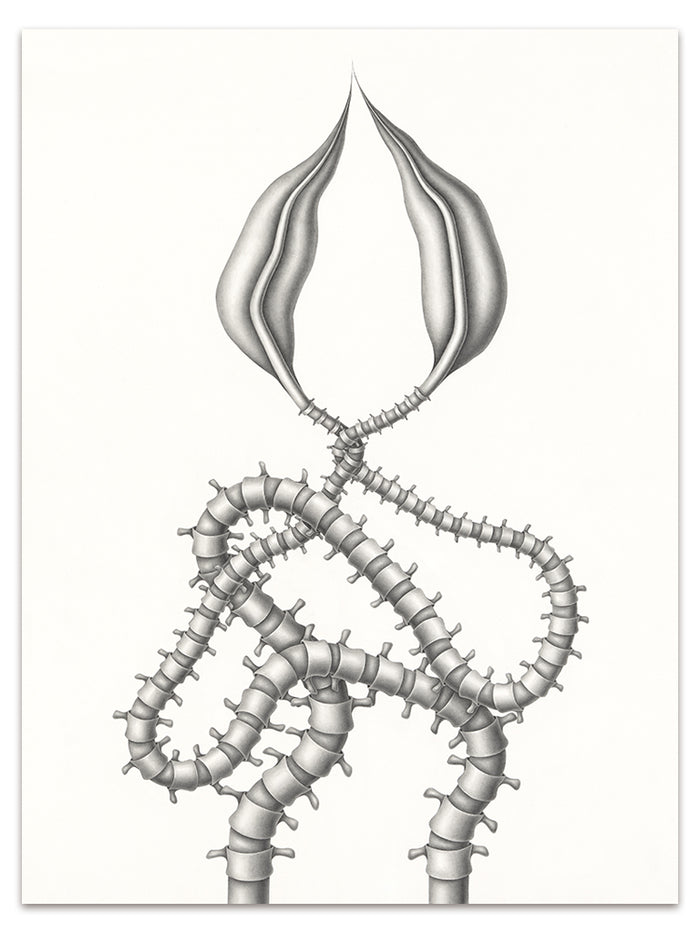 Devra Fox - "SPINAL CONNECTION #1" print: A black and white limited edition art print featuring two intertwined, segmented, spine-like forms with an abstract petal shape at their convergence on a white background.