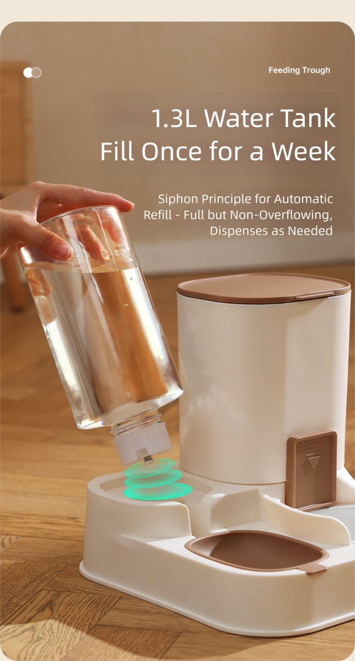 Distributeur automatique de nourriture et d'eau pour chats, 2 en 1