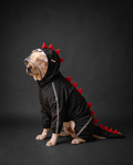 Dogzilla Raincoat