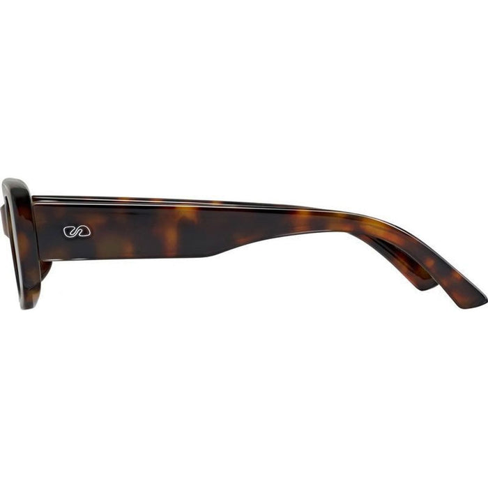 Dollin, Cape Tortoise/Dune Brown Gradient Lenses