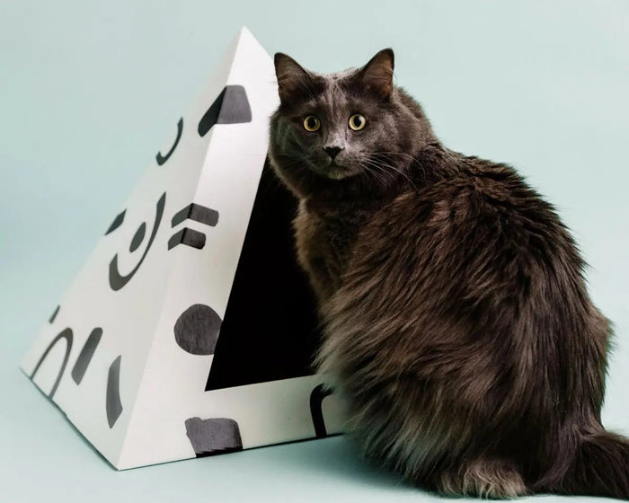 'Doodle' Cardboard Cat Pyramid - FloofChonk