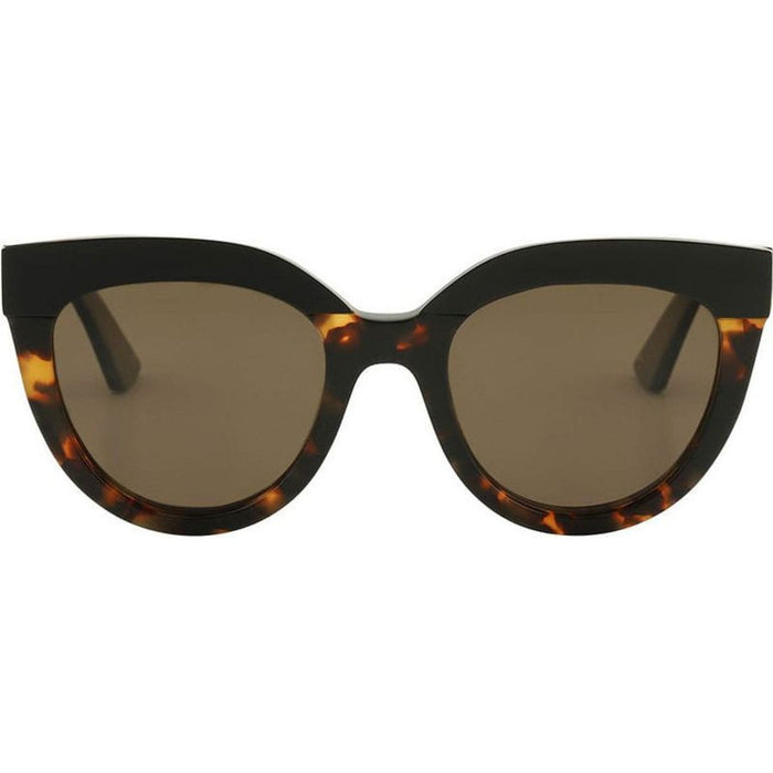 Echo, Toffee Tort/Brown Polarised lenses