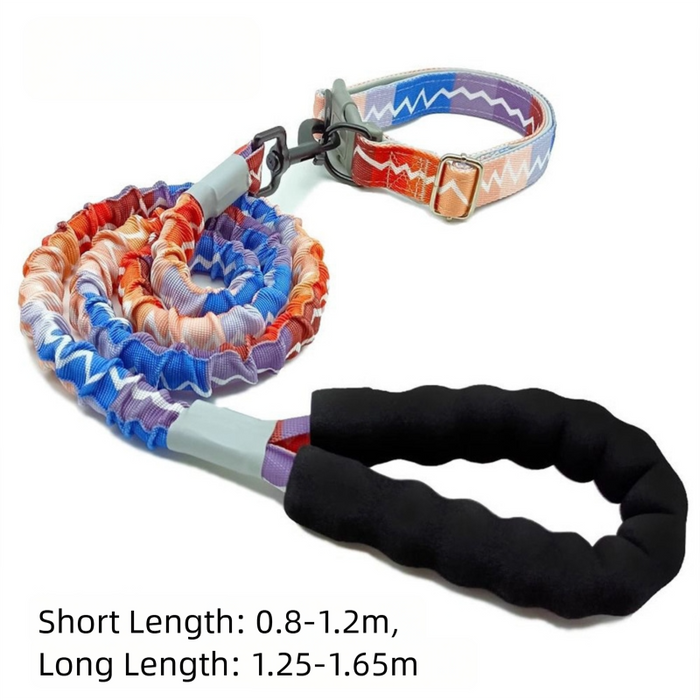 Ensemble collier et laisse arc-en-ciel pour chien - Colliers ajustables pour chiens moyens et grands