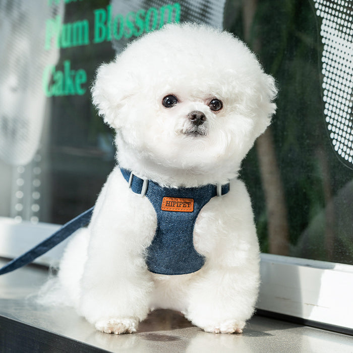 Ensemble harnais et laisse en denim pour chien, gilet pour chiot ajustable anti-traction
