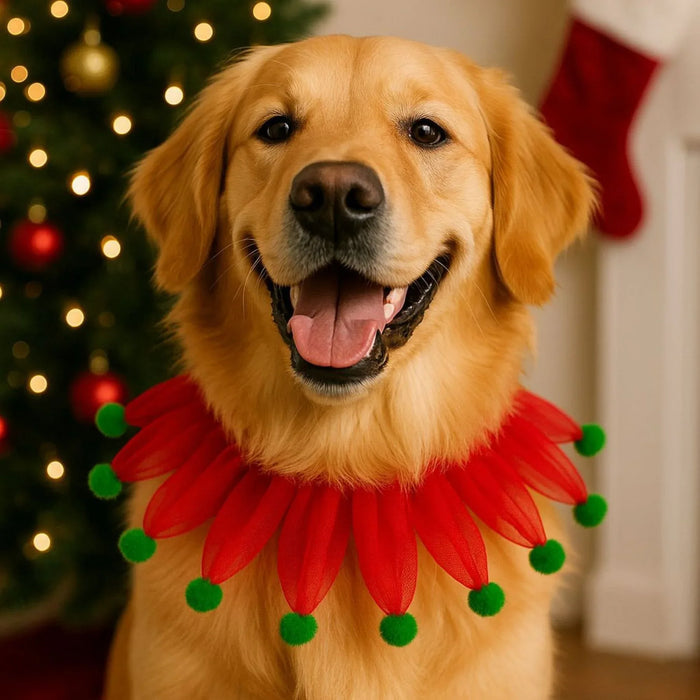 Festive neck tutu