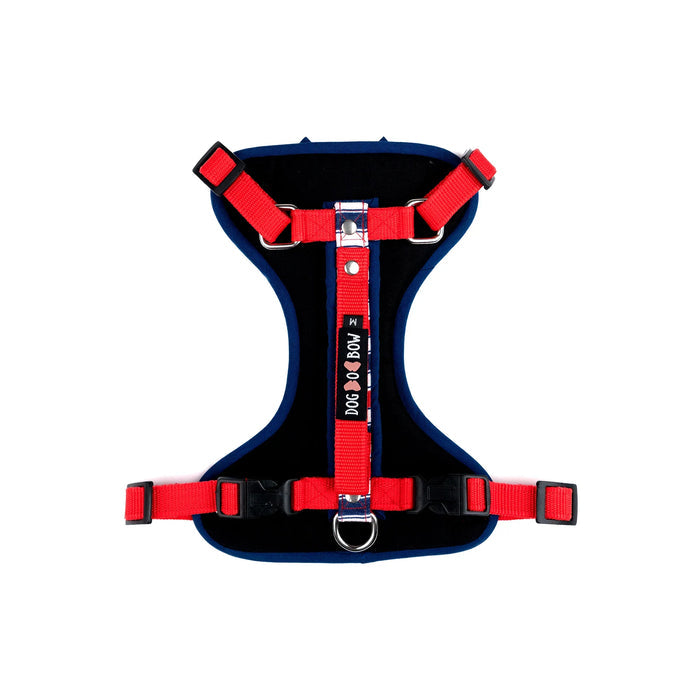Flag Stripe Body Harness