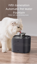 Fontaine à eau pour chat - Noire avec 4 filtres de rechange