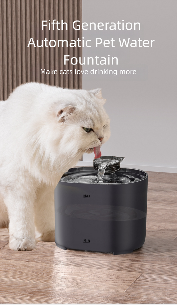 Fontaine à eau pour chat - Noire avec 4 filtres de rechange