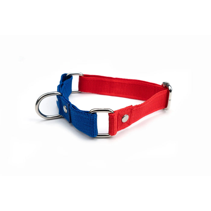 French Print Martingale Collar (1 inch width)