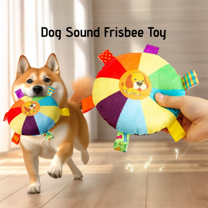 Frisbee arc-en-ciel à clochette pour chien