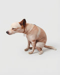 Funny Pooping Dog Plush Ornament – 60 cm