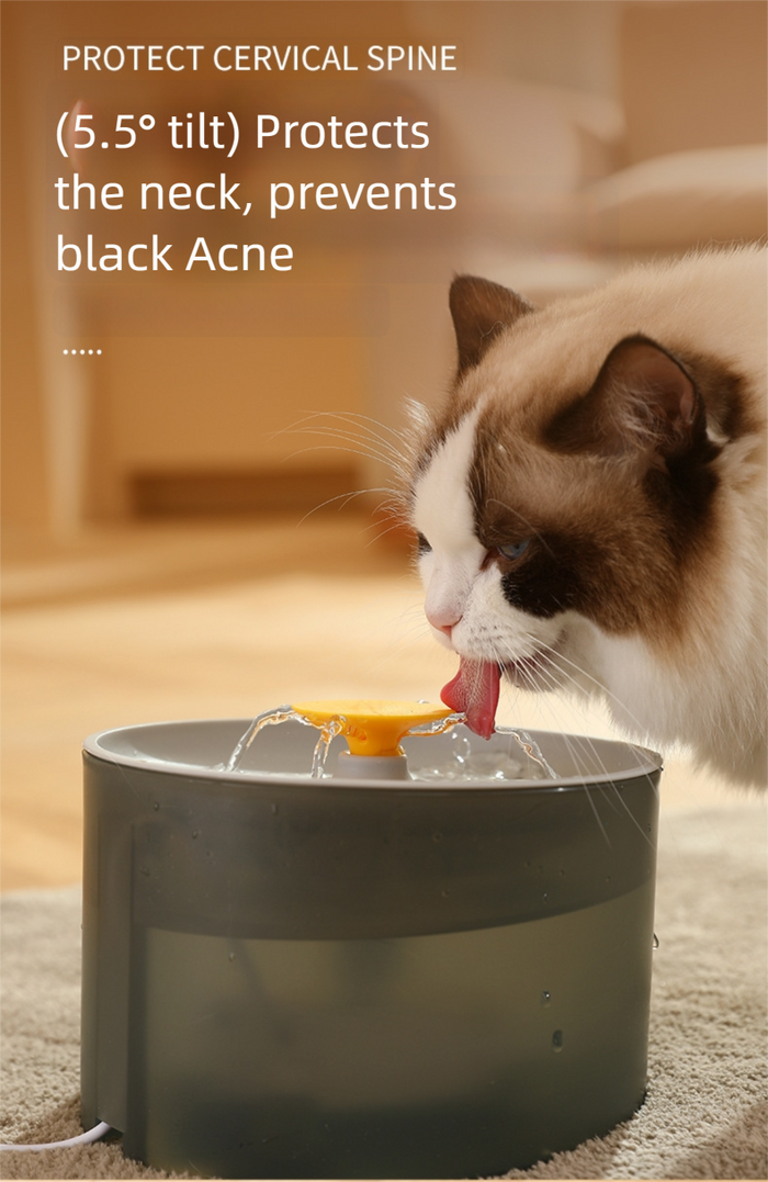Gamelle pour animaux de compagnie 1,5 L - Avec 4 filtres de rechange