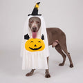 Large dog wearing a white ghost and pumpkin Halloween costume with a black witch hat