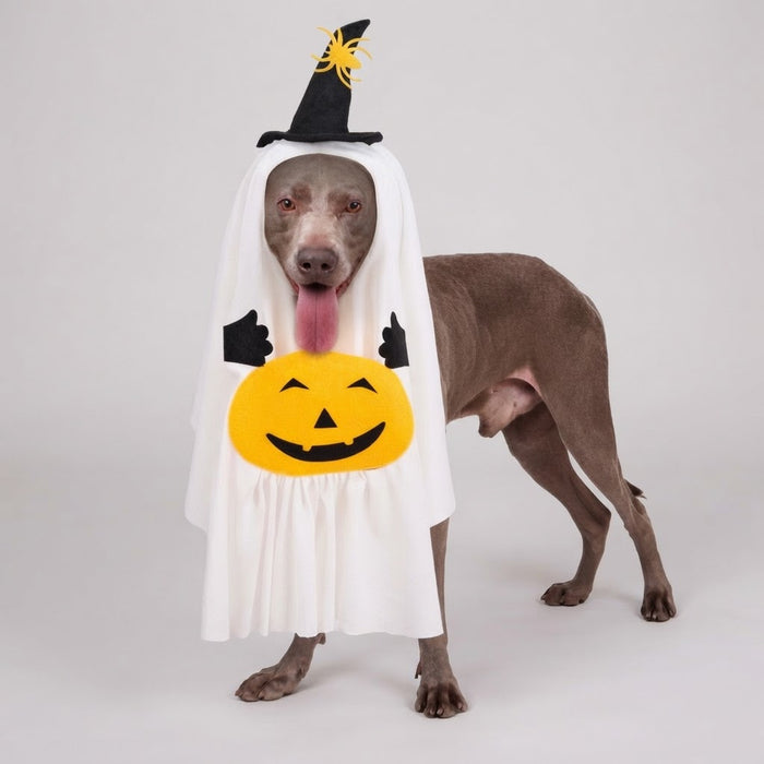Large dog wearing a white ghost and pumpkin Halloween costume with a black witch hat