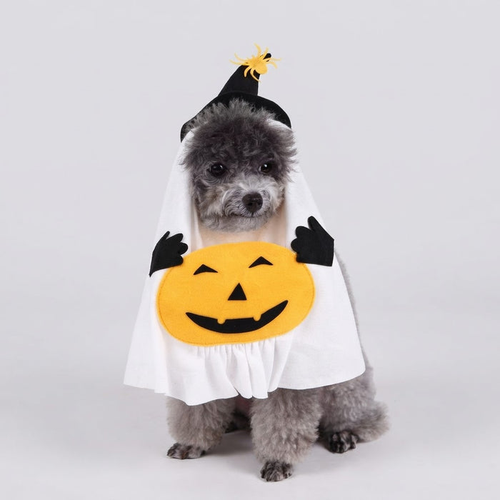 Small gray dog wearing a white ghost pumpkin Halloween costume