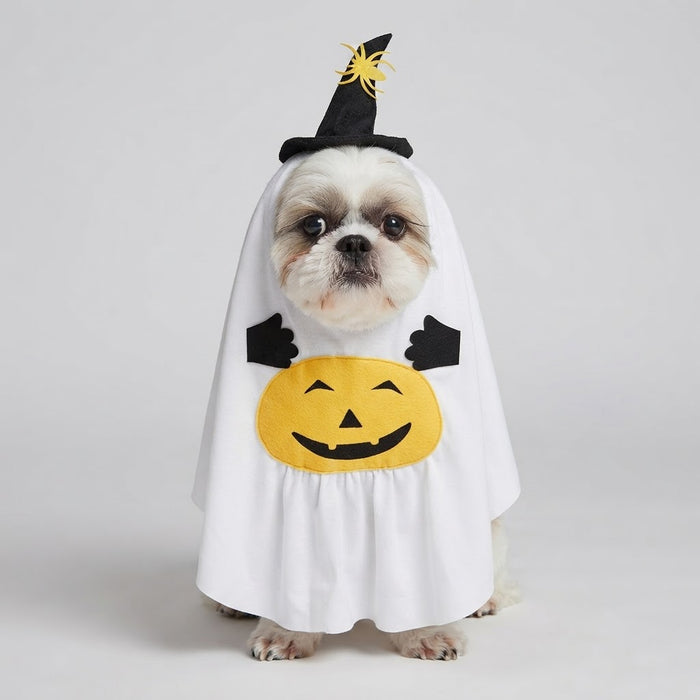 Small white dog wearing a ghost pumpkin Halloween costume with a witch hat