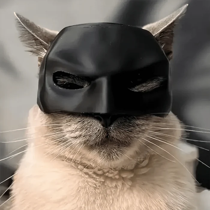 Gift Black Bat Cat Avenger Mask Matte Cool Bat Mask Superhero Cute Pet Toys For Cats And Dogs - FloofChonk