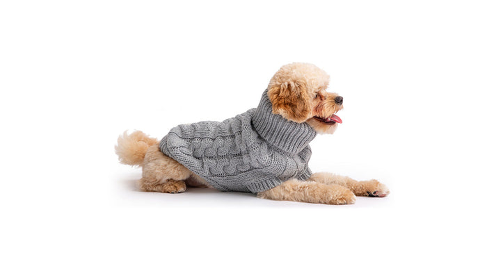 Grey Chalet Dog Sweater
