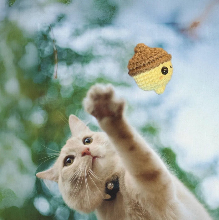 Handmade Catnip Toy | Augie the Acorn Chunkle Puff Infused with Miracle Nip Botanicals - FloofChonk