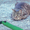 Handmade Catnip Toy | Leaf Stick Chunkle Puff Infused with Miracle Nip Botanicals - FloofChonk