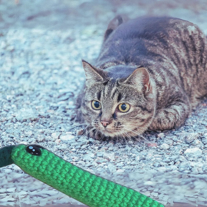 Handmade Catnip Toy | Leaf Stick Chunkle Puff Infused with Miracle Nip Botanicals - FloofChonk
