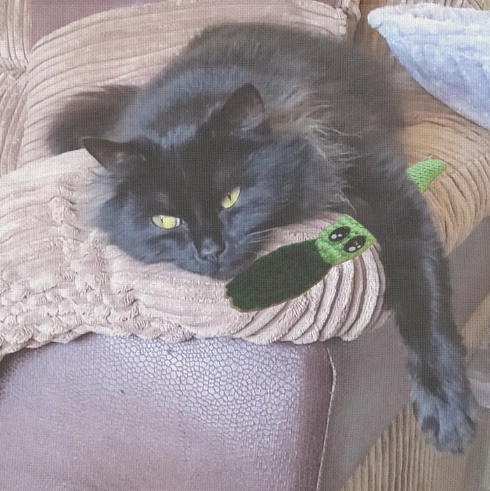 Handmade Catnip Toy | Leaf Stick Chunkle Puff Infused with Miracle Nip Botanicals - FloofChonk